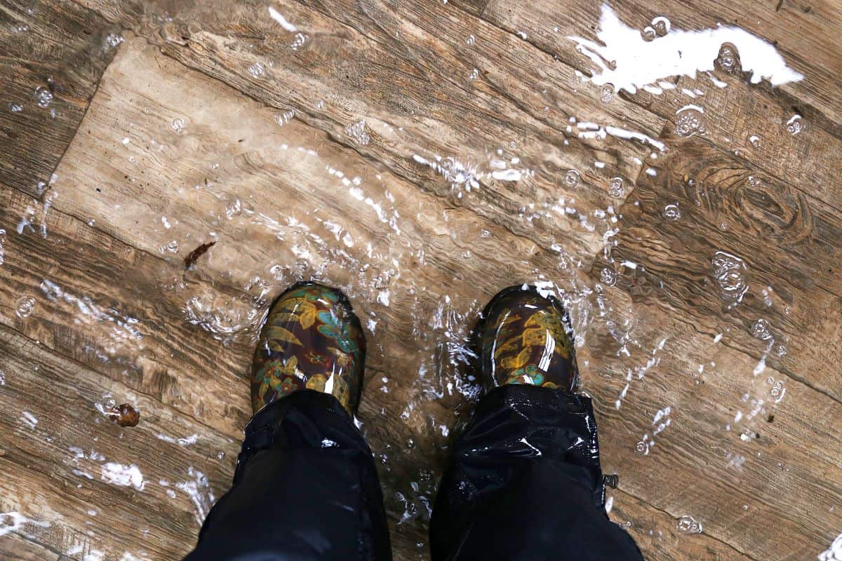 A woman's feet, wearing waterproof rain boots are standing in a flooded house with vinyl wood floors.