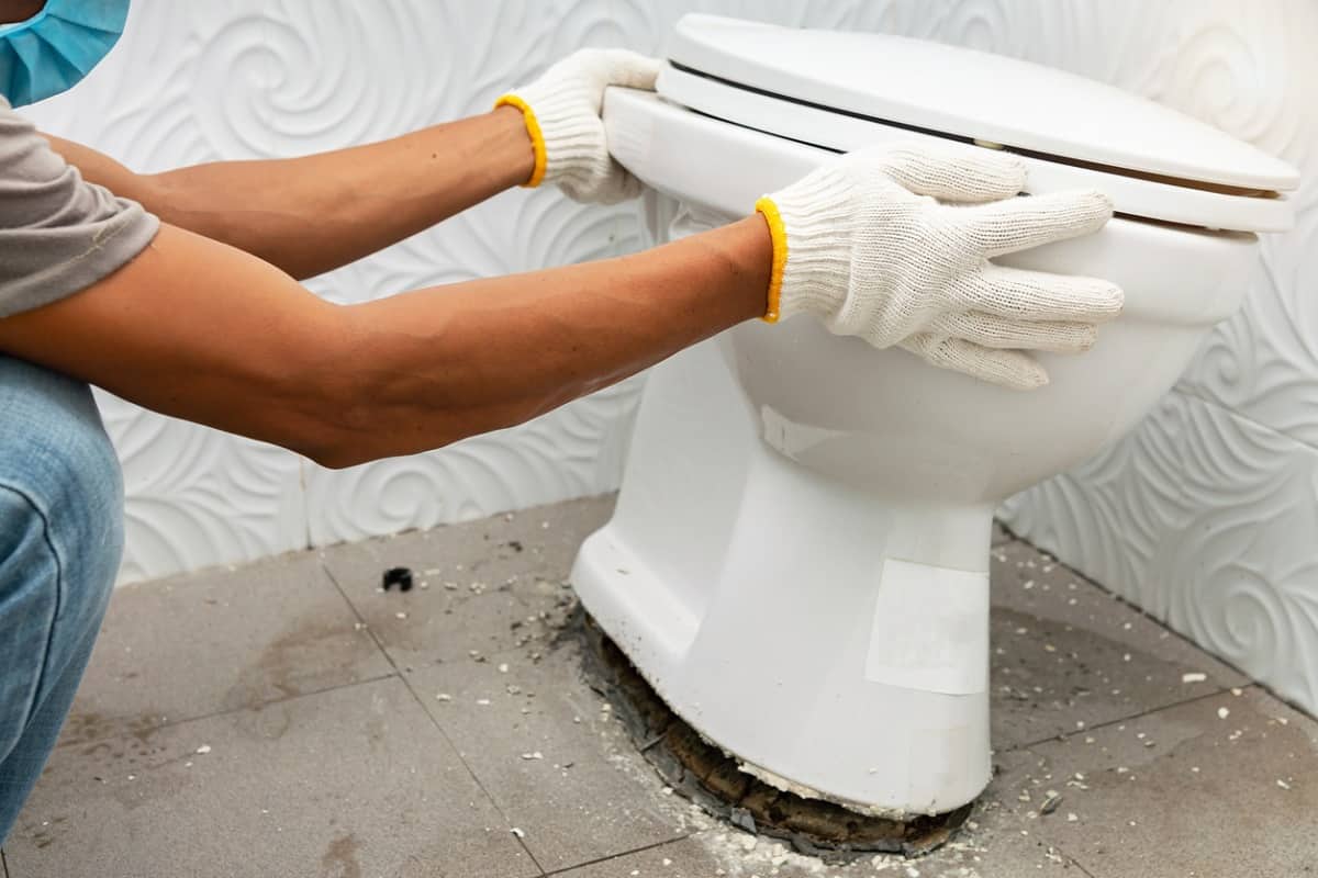 How to Install the Toilet Bowl - workerman performs repair of toilet bowl, To repair the pipe from the toilet