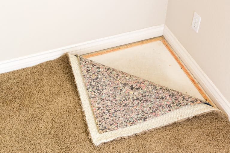 Pulled Back Carpet and Padding In Room of House - Carpet Smells Like Corn Chips—What To Do