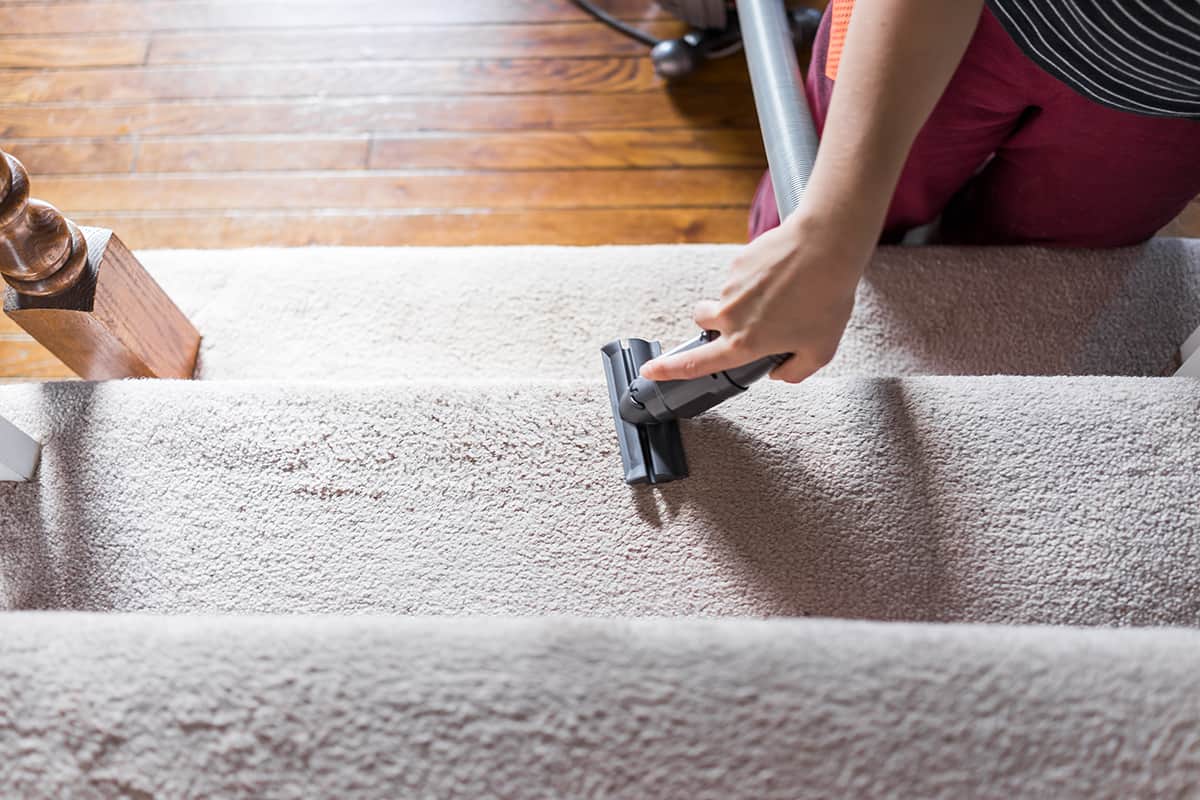 Woman vacuum on carpet floor