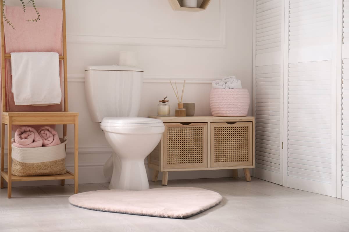 Stylish bathroom interior with toilet bowl and other essentials

