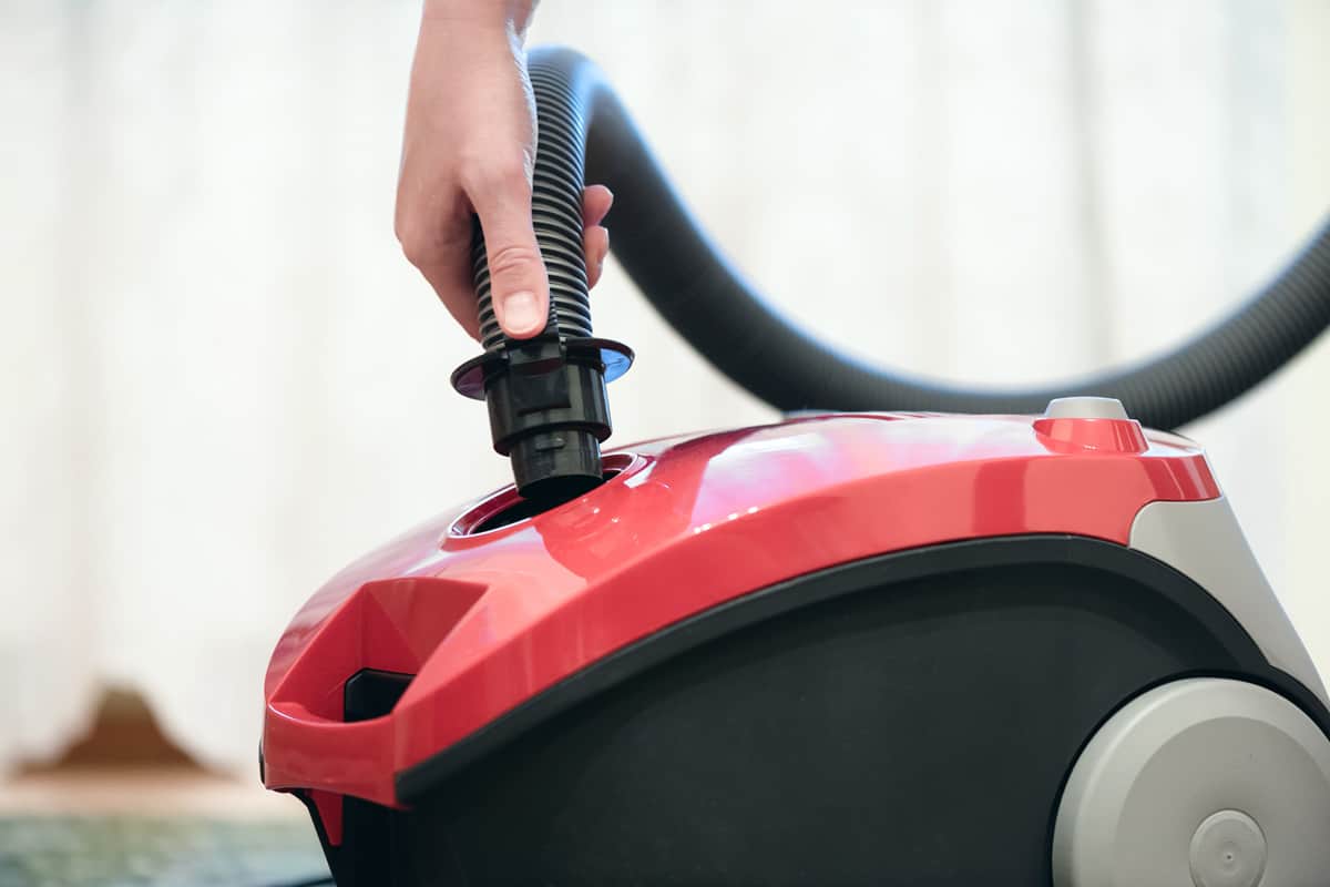 Woman is connecting the brush hose to the vacuum cleaner close up.