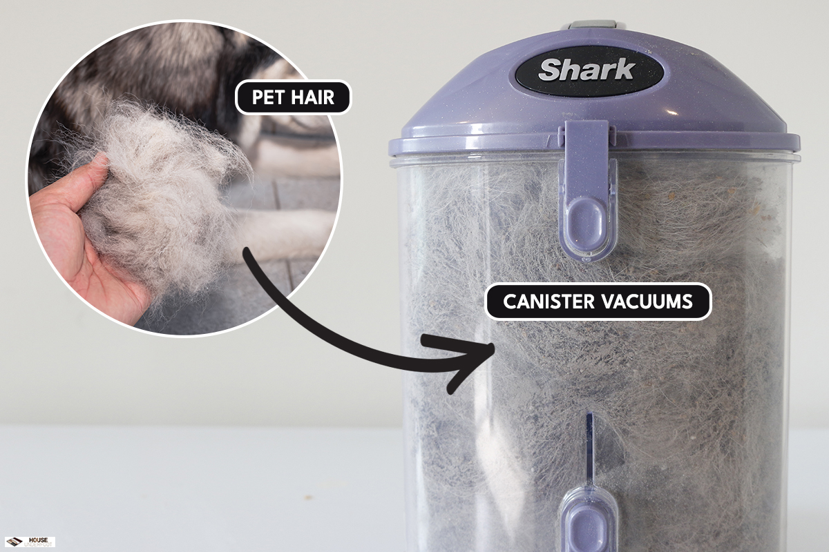 Shark Vacuum filter that is full of dog fur, How To Tell What Shark Vacuum I Have