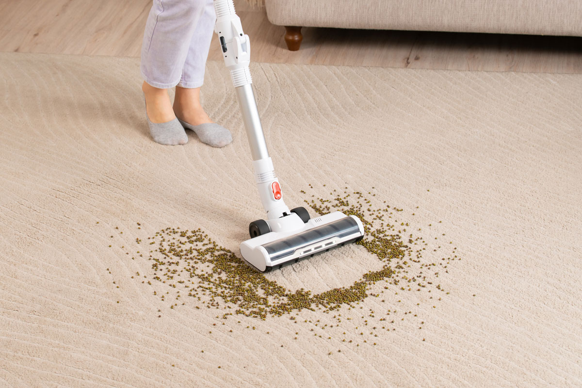 Woman uses cordless Electrolux vacuum cleaner to clean home carpet